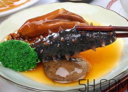 海參是海鮮嗎？海參是動物還是植物？