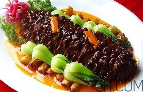 海參是高蛋白食物嗎？海參是素食嗎？