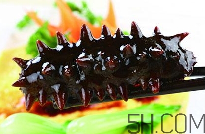 海參是高蛋白食物嗎？海參是素食嗎？