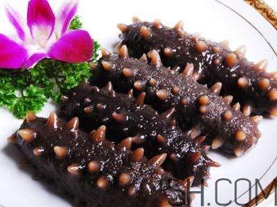 海參是高蛋白食物嗎？海參是素食嗎？