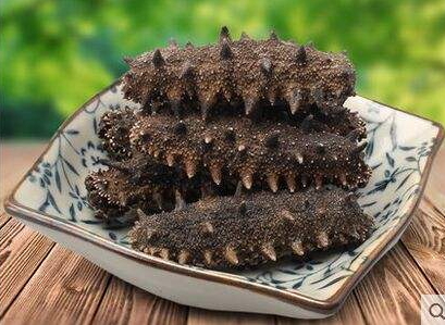 海參刺多好還是刺少好？海參沒有刺是怎么回事？