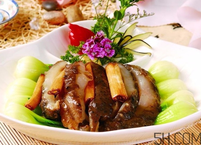 海參是高蛋白食物嗎？海參是素食嗎？