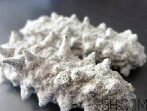 海參顏色深好還是淺好？海參顏色發(fā)白時(shí)怎么回事？
