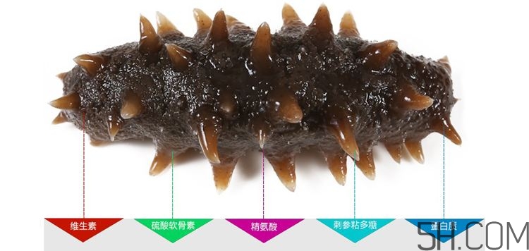 海參哪些部位不能吃？海參的禁忌人群