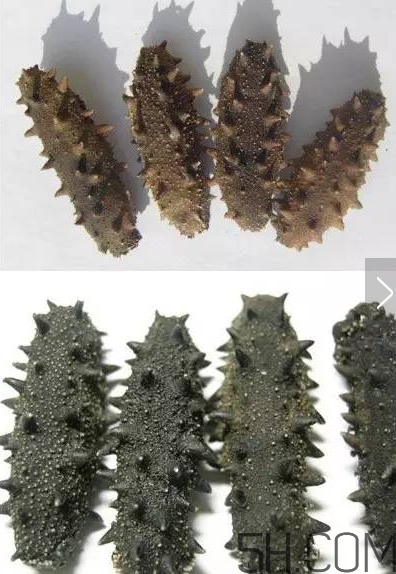 海參顏色深好還是淺好？海參顏色發(fā)白時(shí)怎么回事？