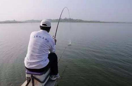 大蒜泡酒能釣魚嗎？大蒜泡酒釣魚的方法