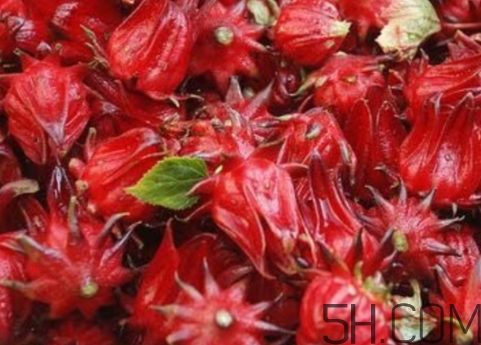 洛神果是什么？洛神果和洛神花區(qū)別