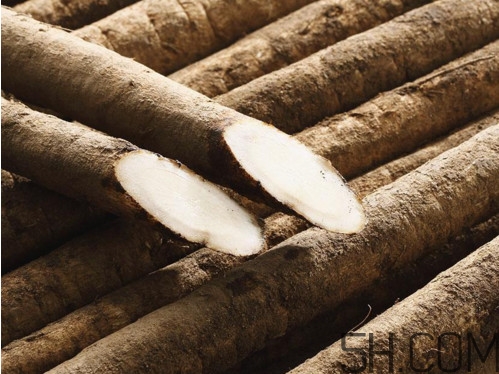 牛蒡是牛大力嗎？牛蒡和牛大力的區(qū)別