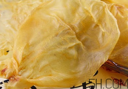 魚膠是魚泡嗎？魚膠是海鮮嗎