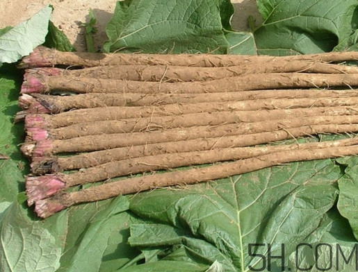 牛蒡是牛大力嗎？牛蒡和牛大力的區(qū)別