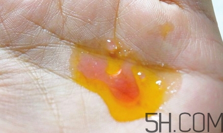 安娜柏林橙花蜜怎么用？安娜柏林橙花蜜使用方法