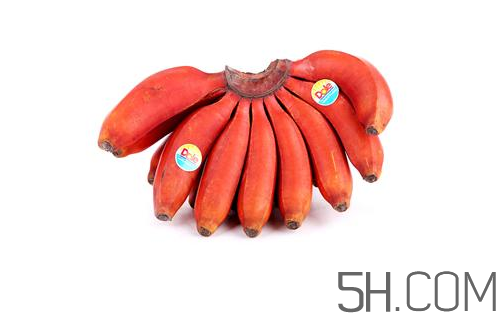 紅香蕉和普通香蕉的區(qū)別？香蕉可以放冰箱冷凍嗎？