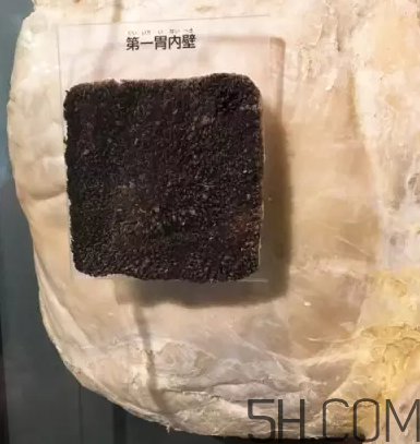牛百葉和毛肚是一個(gè)東西嗎？牛百葉上面有層黑皮能吃嗎？