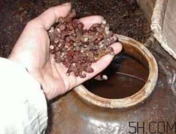 拐棗能泡酒嗎？拐棗能和蜂糖一起泡酒嗎？