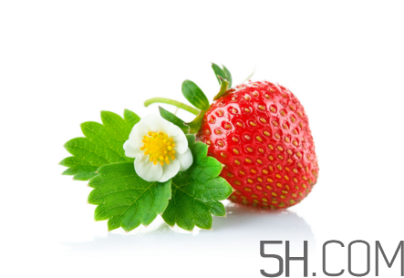吃了發(fā)霉的草莓怎么辦？怎樣挑選草莓？