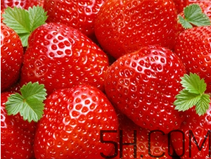 草莓都有哪些熱門品種？草莓怎么放不容易壞？