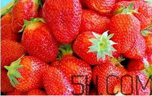 草莓都有哪些熱門品種？草莓怎么放不容易壞？