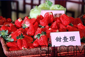 草莓都有哪些熱門品種？草莓怎么放不容易壞？