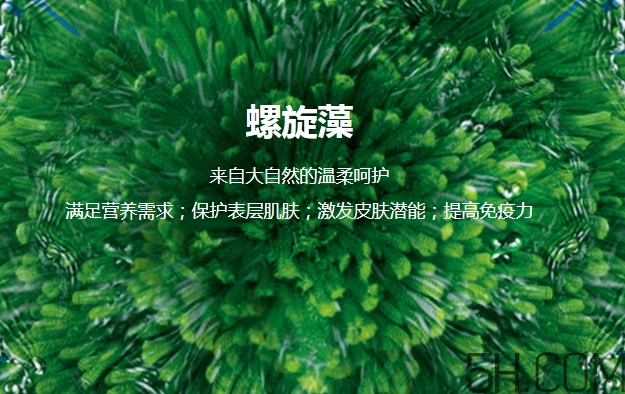 lantern蘭亭是什么牌子？蘭亭是哪個(gè)國(guó)家的什么檔次