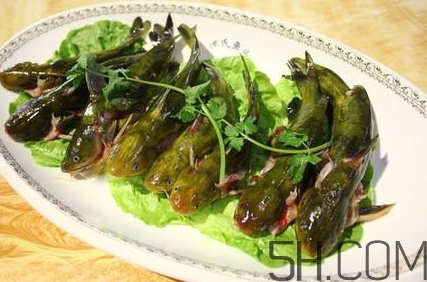 黃骨魚和鯽魚哪個好？黃骨魚和鯽魚的營養(yǎng)價值