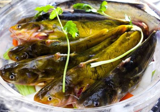 黃骨魚是發(fā)物嗎？黃骨魚是什么魚？