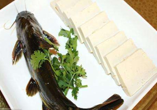 黃骨魚有刺嗎？黃骨魚有毒嗎？