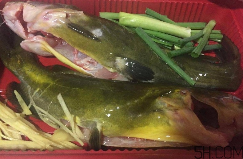 黃骨魚湯下奶嗎？黃骨魚湯的做法 