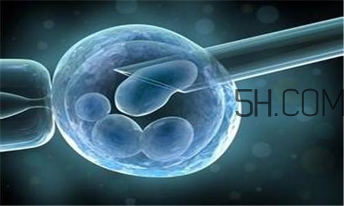 人工授精取卵子怎么?。咳斯な诰腥嗽鯓尤【?？