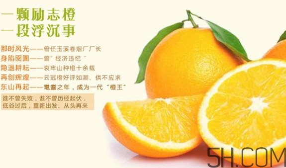 褚橙多少錢一斤？褚橙為什么這么貴