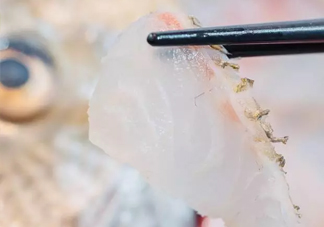 鯛魚怎么做？鯛魚是海魚還是淡水魚