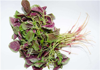 莧菜是酸性還是堿性？吃莧菜有什么好處？