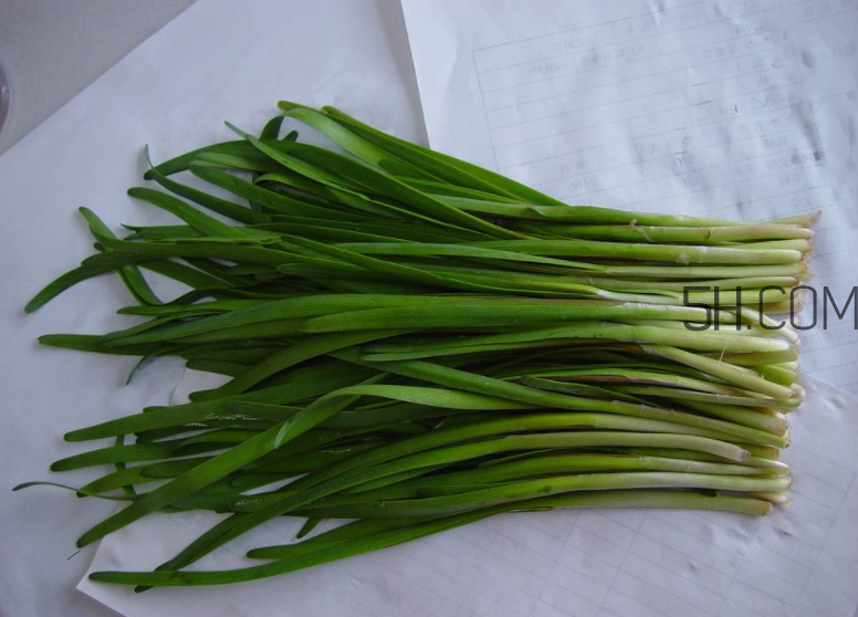 韭菜怎么保存？韭菜傷胃嗎？