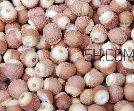 芡實是中藥嗎？芡實哪里可以買到