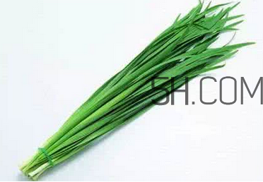 立秋后可以種韭菜嗎？怎樣種韭菜？