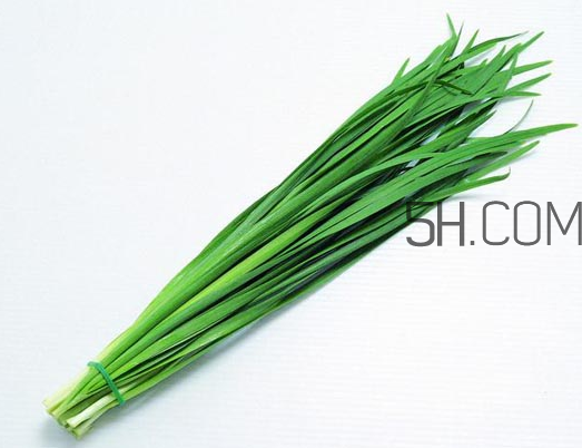 秋天吃韭菜好嗎？韭菜和莧菜能一起吃嗎？