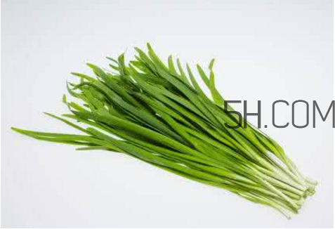 秋天吃韭菜燒心怎么辦？韭菜補腎嗎？