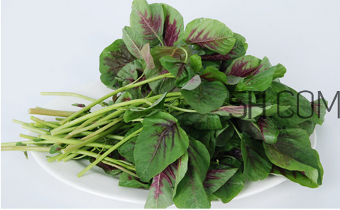 莧菜為什么是紅的？莧菜是涼性的嗎？