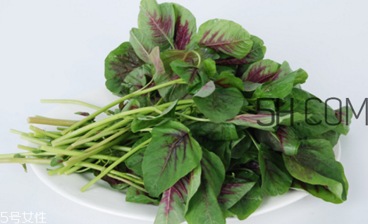 上火能吃咸莧菜嗎？寶寶能吃莧菜嗎？