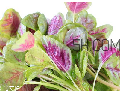 上火能吃咸莧菜嗎？寶寶能吃莧菜嗎？