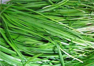 秋天吃韭菜好嗎？韭菜和莧菜能一起吃嗎？