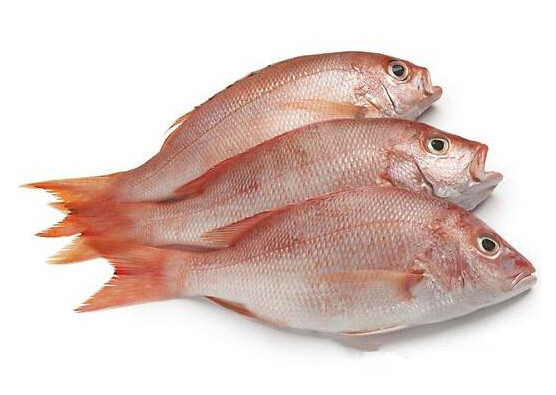 鯛魚多少錢一斤？鯛魚魚骨有什么營養(yǎng)價(jià)值