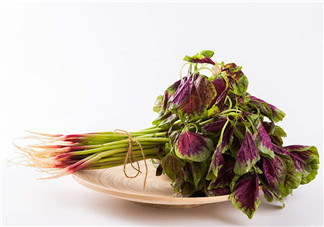 莧菜為什么是紅的？莧菜是涼性的嗎？