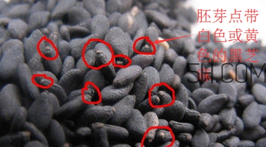 黑芝麻清洗掉色正常嗎？黑芝麻有黑色素嗎？