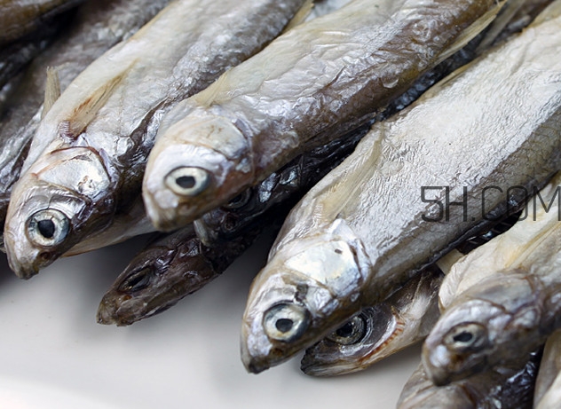 刁子魚是淡水魚嗎？刁子魚怎么釣