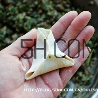 餃子和面用熱水還是冷水？餃子和面要醒多長時間？
