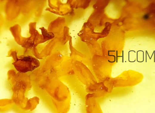 糖桂花可以泡茶喝嗎 糖桂花可以用來(lái)泡水嗎