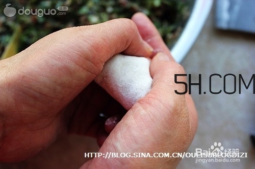 怎么包餃子快又好看？十種家常包餃子的方法~