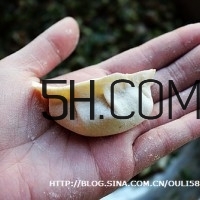 怎么包餃子快又好看？十種家常包餃子的方法~