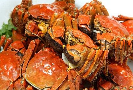 孕婦吃螃蟹多久流產(chǎn)？孕婦吃多少螃蟹會流產(chǎn)？