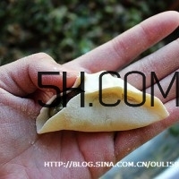 怎么包餃子快又好看？十種家常包餃子的方法~